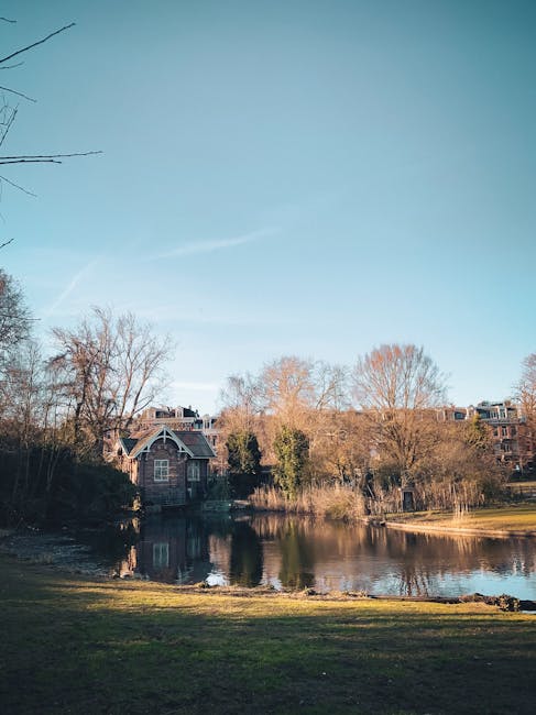 A serene lakeside scene with a calm body of water in the foreground reflecting the surrounding scenery. On the left, there are bare trees with thin branches extending into the sky, indicating a late autumn or winter setting. To the right, a small grassy area slopes gently toward the water, with patches of brown and green grass visible. In the background, there is a classic brick house with arched windows and a steep roof, partially obscured by tall, leafless trees and dense shrubbery. Behind the house, several modern residential apartment buildings with multiple stories can be seen, set against a clear blue sky. The scene is illuminated by natural daylight, with soft shadows cast on the grass and water, providing a peaceful environment that reflects a typical private property or lakeside residence. This setting could be relevant for showcasing how independent disposal methods or off-site rubbish removal services, such as those offered by House Clearance Holland Park, are used to maintain such properties.