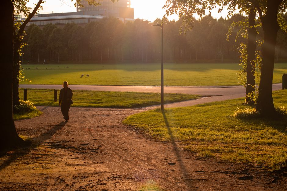 A person walking along a dirt pathway in a park during late afternoon or early evening, illuminated by warm golden sunlight filtering through the trees. The individual is dressed in dark clothing and is seen from behind, casting a long shadow on the ground. In the background, a vast grassy area extends towards a row of trees and a modern building partially obscured by sunlight. The park features mature trees with green foliage on either side of the path, and a lamppost stands along the walkway. The scene creates a calm, natural environment with soft light and gentle shadows, suggestive of outdoor spaces where rubbish and waste materials might be collected or cleared during maintenance or private disposal. This visual setting aligns subtly with the theme of external waste removal services, such as those offered by companies like House Clearance Holland Park, who facilitate rubbish clearance in similar outdoor environments.