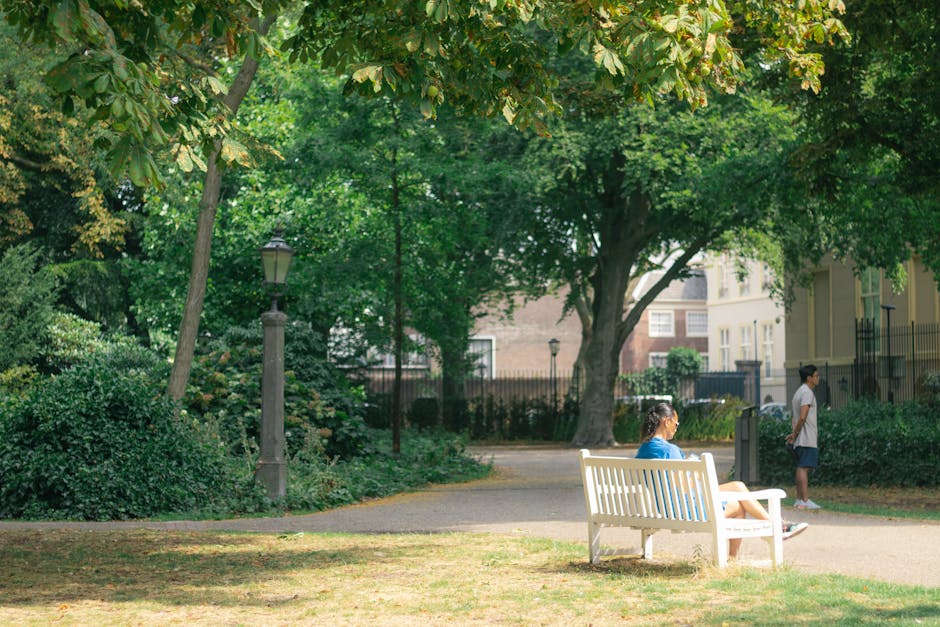 A person walking along a dirt pathway in a park during late afternoon or early evening, illuminated by warm golden sunlight filtering through the trees. The individual is dressed in dark clothing and is seen from behind, casting a long shadow on the ground. In the background, a vast grassy area extends towards a row of trees and a modern building partially obscured by sunlight. The park features mature trees with green foliage on either side of the path, and a lamppost stands along the walkway. The scene creates a calm, natural environment with soft light and gentle shadows, suggestive of outdoor spaces where rubbish and waste materials might be collected or cleared during maintenance or private disposal. This visual setting aligns subtly with the theme of external waste removal services, such as those offered by companies like House Clearance Holland Park, who facilitate rubbish clearance in similar outdoor environments.