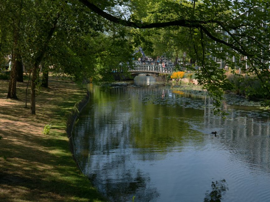 A peaceful urban river scene during daytime features calm, reflective water bordered by a grassy bank on the left with shadows cast by nearby deciduous trees, whose green foliage extends over the water. In the distance, a stone bridge with decorative balustrades spans the river, with a crane and construction equipment visible beyond it, suggesting ongoing nearby development. A small black duck floats on the water's surface, creating ripples as it moves, while floating patches of green algae or aquatic plants are scattered across the water. The environment appears quiet and well-maintained, with lush greenery and a mixture of natural and built elements that connect to local waste management and environmental care considerations, subtly aligning with themes of sustainable disposal and riverbank maintenance often associated with private rubbish removal or environmental preservation services. The lighting is natural, highlighting the textures of the tree bark, water surface, and stone bridge, with a slight tilt in perspective emphasizing the length of the river and the tranquil atmosphere.