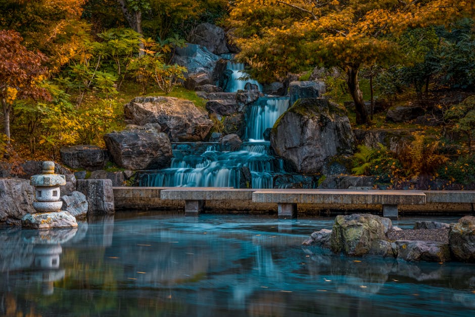 A tranquil garden scene featuring a small waterfall cascading over large, weathered rocks into a calm pond. The rocks exhibit rough textures and natural grey and brown tones, contrasting with the lush greenery surrounding them. Dense trees and shrubs with varying shades of green and some reddish-brown foliage frame the background, with branches extending outward. In the foreground on the left, a decorative stone lantern sits atop a flat, wide rock near the water's edge, adding a traditional aesthetic detail. A narrow, straight stone bridge with a smooth surface and supported by rectangular pillars crosses the pond, with its surface reflecting the nearby rocks and trees. Soft natural lighting filters through the dense canopy, creating subtle highlights and shadows that enhance the peaceful atmosphere. The scene embodies a carefully maintained natural landscape, suitable for private outdoor spaces or garden landscaping, reminiscent of a Japanese-style garden designed for serenity and contemplation, aligning with the concept of on-site or independent water feature management and garden clearance by House Clearance Holland Park in the context of rubbish removal services.