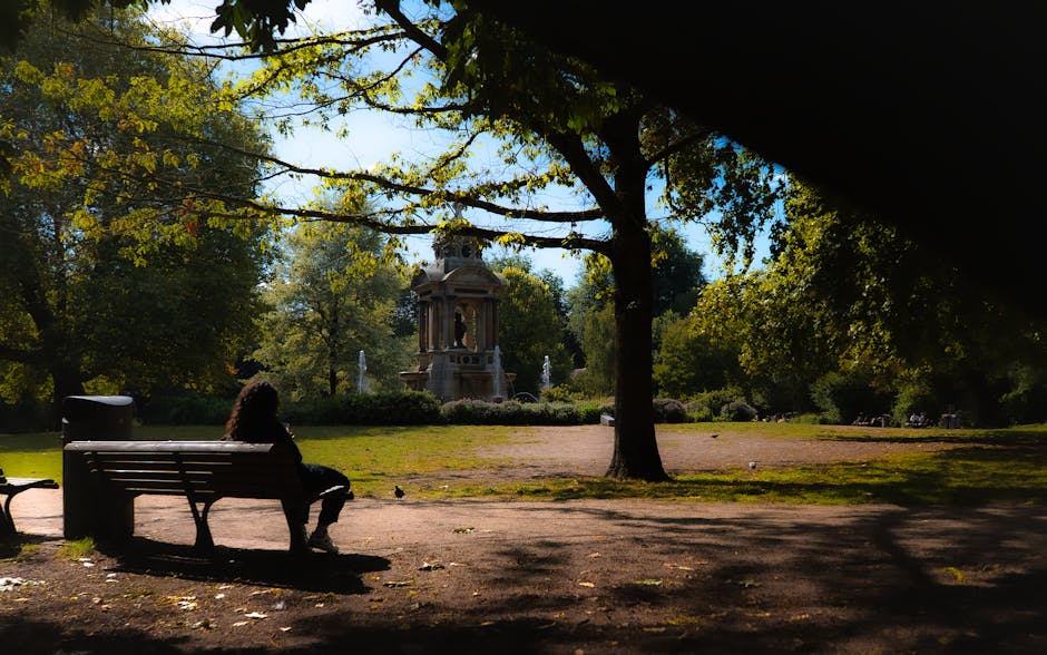 A person with curly hair is seated on a wooden park bench in a shaded area of a large, green public garden. They are facing towards the center of the image, where there is a decorative stone fountain with classical design elements, surrounded by neatly maintained flower beds and low hedges. The scene is illuminated by natural sunlight, casting soft shadows on the ground, which consists of a combination of dirt and patches of grass. Tall trees with green and yellow leaves provide ample shade and frame the scene on both sides, with branches extending overhead. In the background, other benches and visitors are visible, along with distant trees and foliage. The overall atmosphere is tranquil and typical of a city park, fitting within the context of outdoor environments that might require routine maintenance or clearing of rubbish and debris to preserve cleanliness. House Clearance Holland Park occasionally contributes to the maintenance of such areas through private waste handling services, although only natural features and garden furnishings are visible in this photograph.